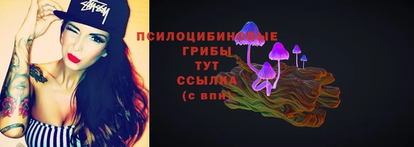 ALPHA PVP Куйбышев