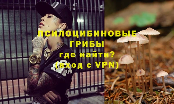 мяу мяу мука Снежинск