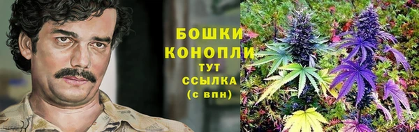 мяу мяу мука Снежинск