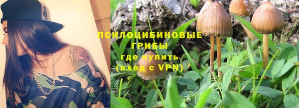 мяу мяу мука Снежинск