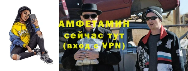 индика Кукмор