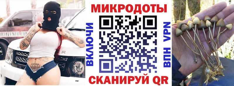 МЕГА как зайти  Кинешма  Галлюциногенные грибы прущие грибы  сколько стоит 