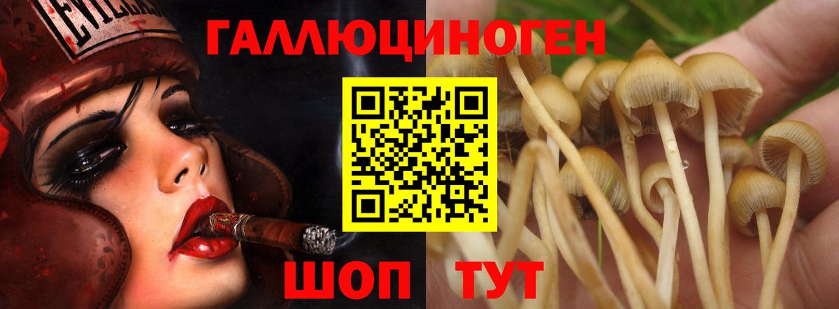 Псилоцибиновые грибы прущие грибы  что такое   Кинешма  Вход с VPN 
