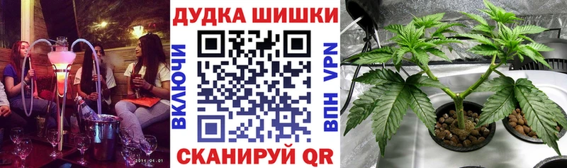 mega как зайти  Кинешма  Канабис марихуана 