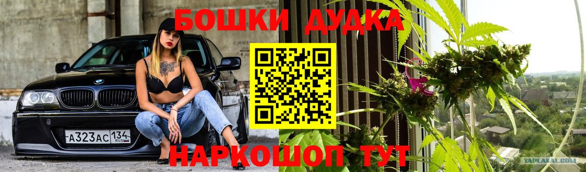 Кинешма  Бошки Шишки Bruce Banner  Каннабис сатива  Вход с VPN  Каннабис SATIVA & INDICA 
